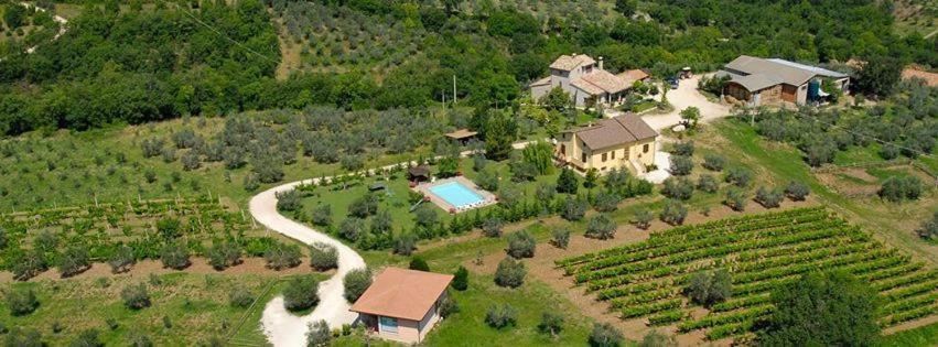 Fattoria Del Quondam Villa Giano dellʼUmbria Екстериор снимка